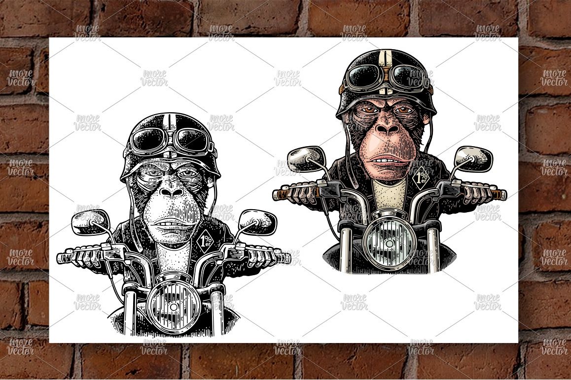 Monkey driving a motorcycle rides. Vector vintage engraving example image 1