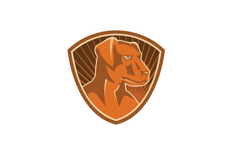 Sheepdog Border Collie Shield Retro example image 1