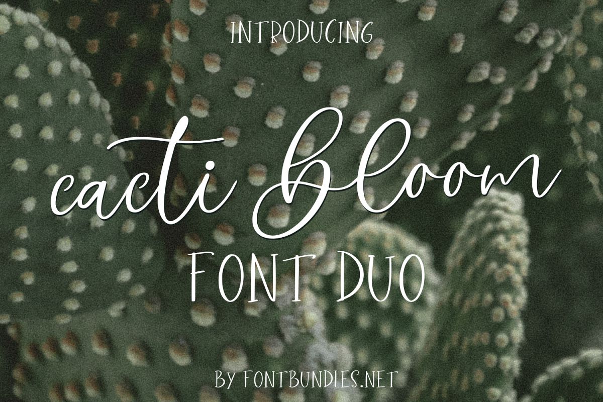 Cacti Bloom Font Duo example image 1