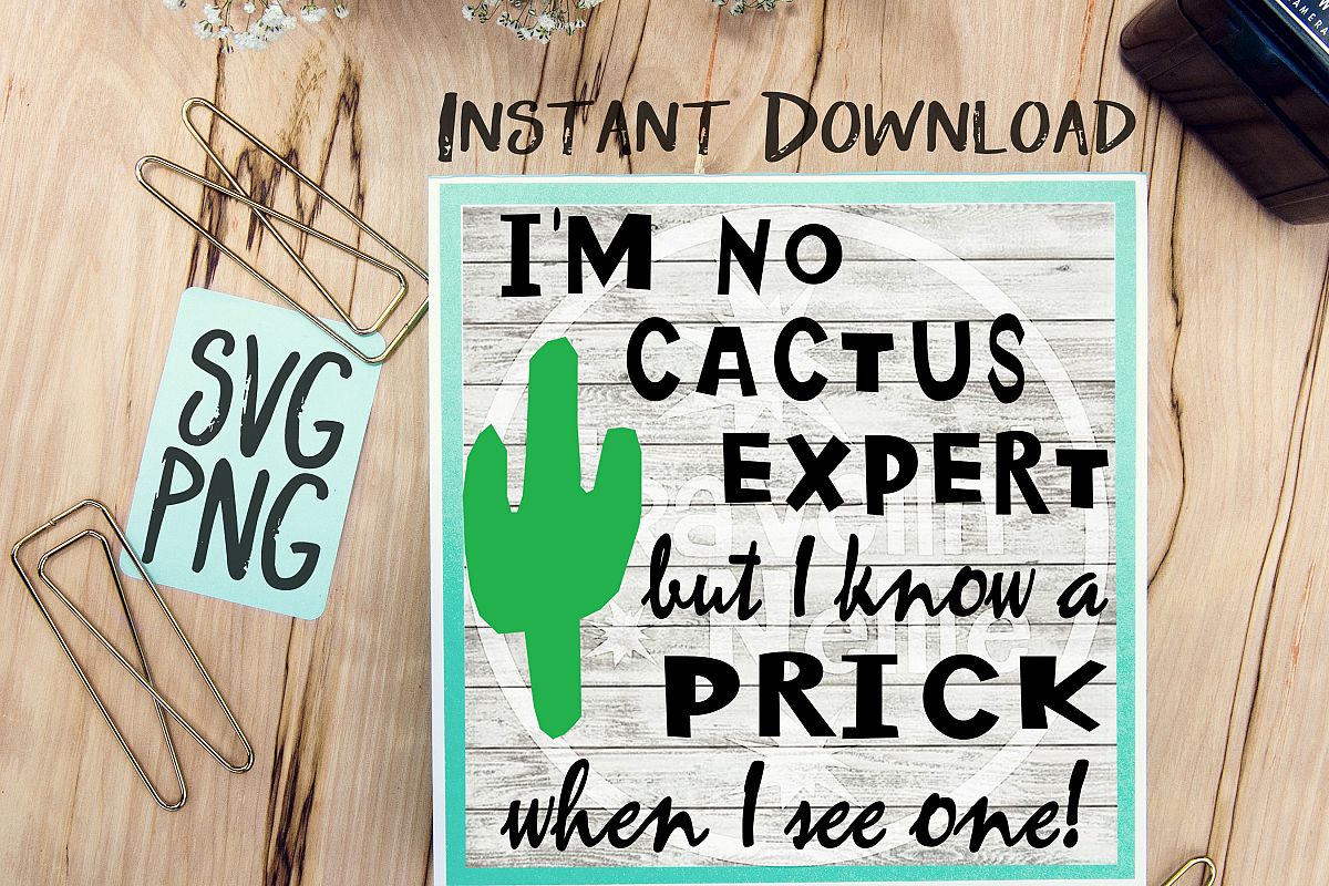 I know a Prick When I see One SVG PNG Image Design for Vinyl Cutters Print DIY Shirt Design Cruise Vacation Anchor Brother Cricut Cameo Cutout example image 1