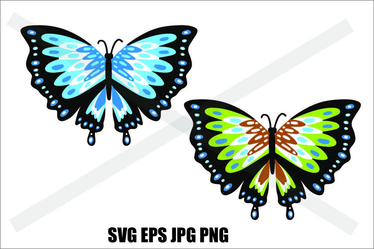 Butterfly Two Types - SVG-EPS-JPG-PNG example image 1