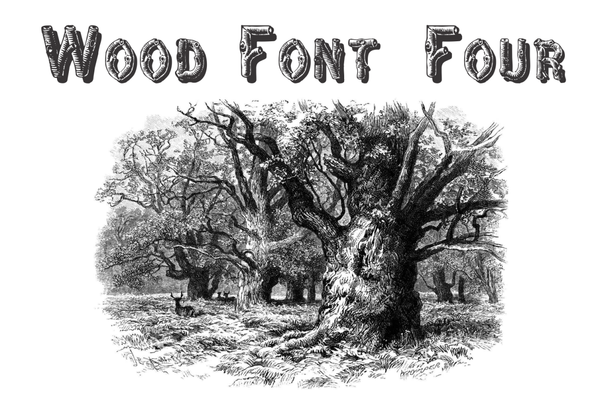 Wood Font Four example image 1