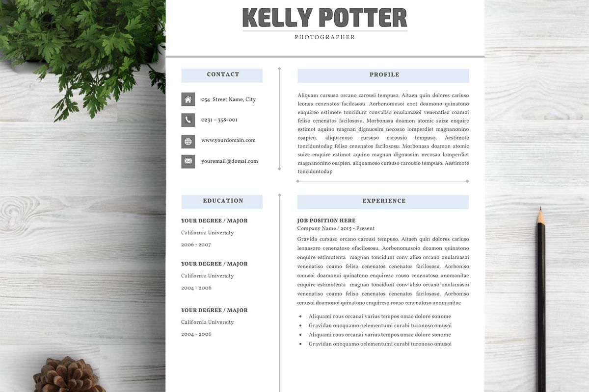 Professional Resume Template Word