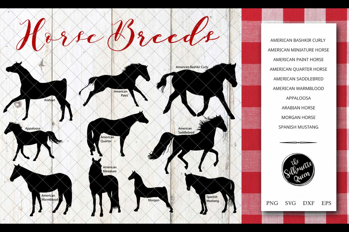 Horse Breeds Silhouette Vector svg file, horse svg cut file example image 1