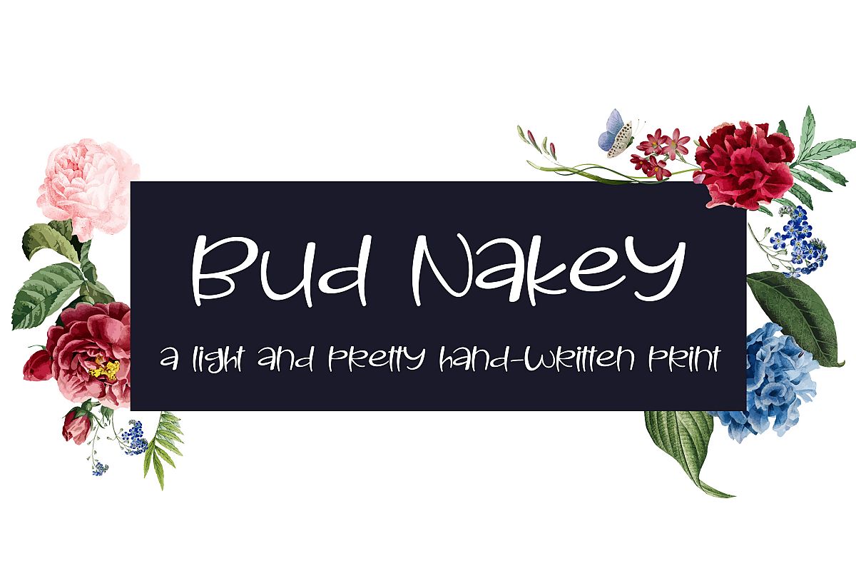 PN Bud Nakey example image 1
