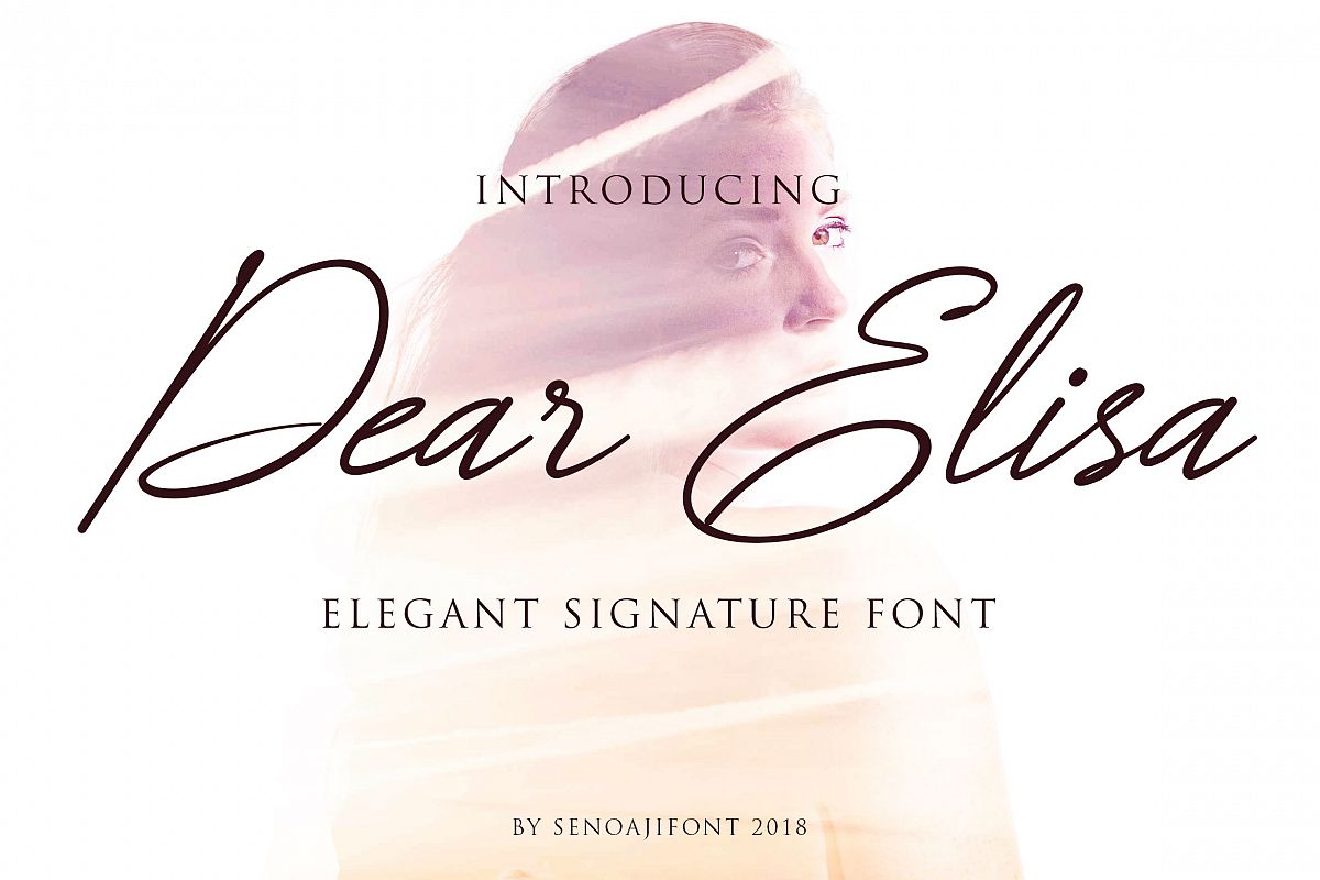 Dear Elisa example image 1