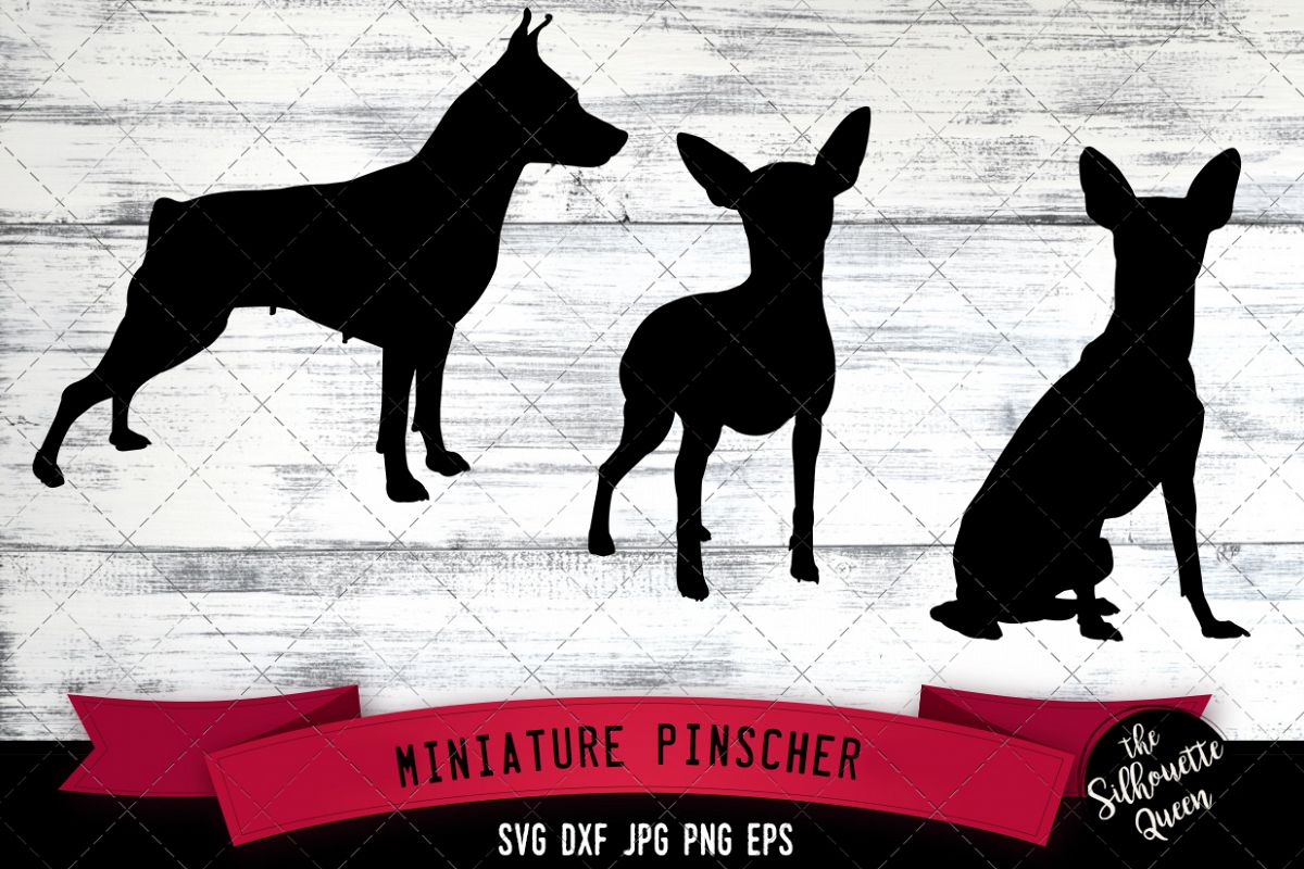 Miniature Pinscher SVG Files, Dog Svg, Silhouette File (268169