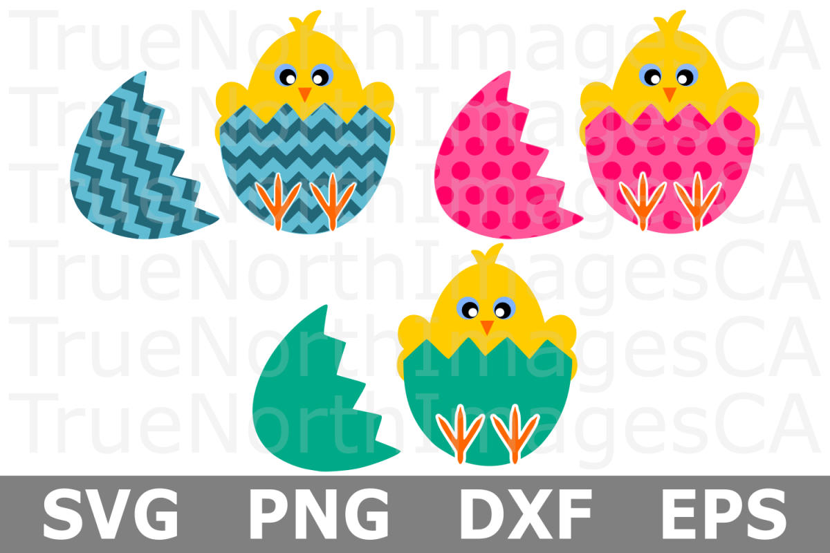 Chicks in Eggs - An Easter SVG Cut File example image 1