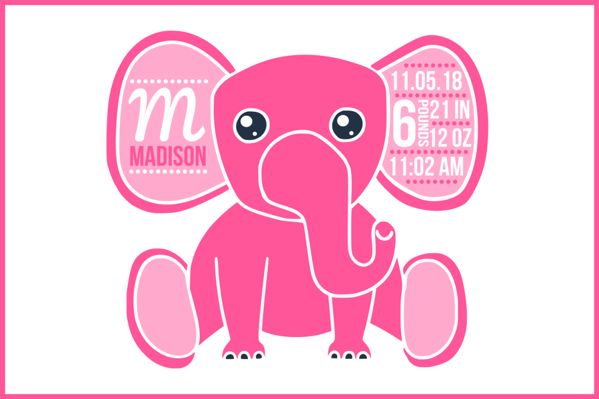 Free Free 196 Baby Birth Stats Svg Free SVG PNG EPS DXF File