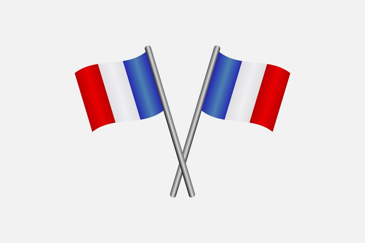 France flag example image 1