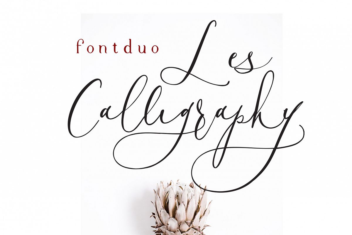 Les Calligraphy Font Duo example image 1