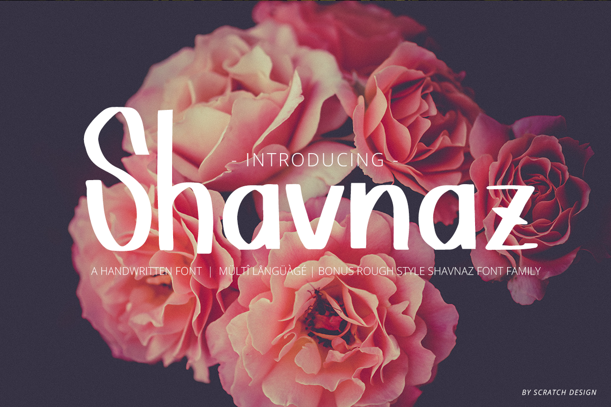 Shavnaz example image 1