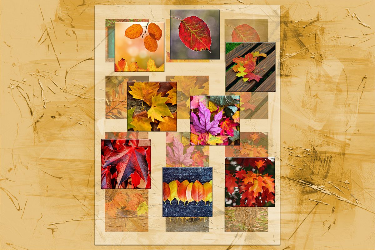 Fall Leaves, Digital Collage Sheet, Printable Images,SALE example image 1