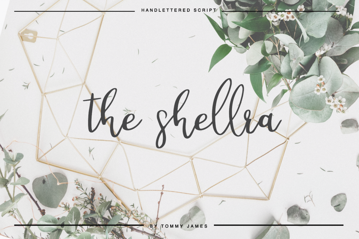 the shellra example image 1