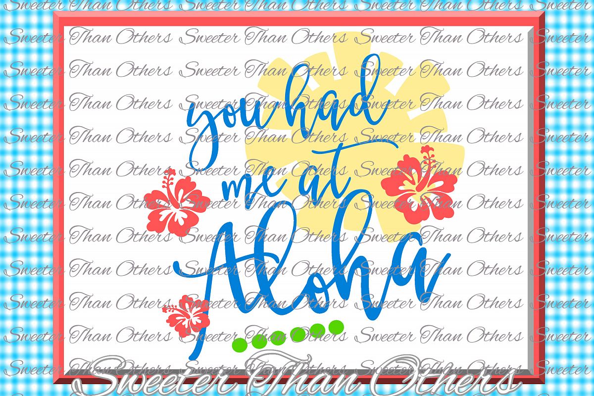 You Had me at Aloha SVG, Tropics, Beach pattern example image 1