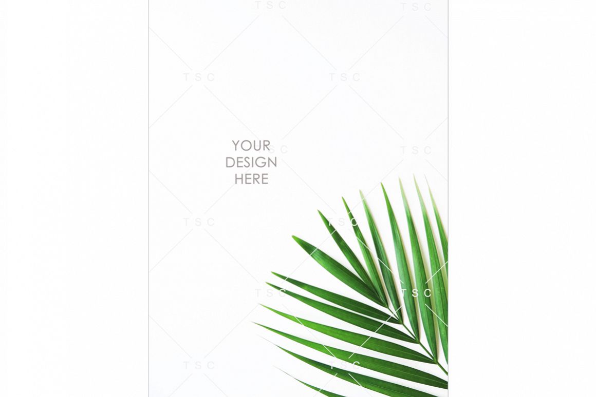Portrait-mode Palm Leaf Stock Photo example image 1