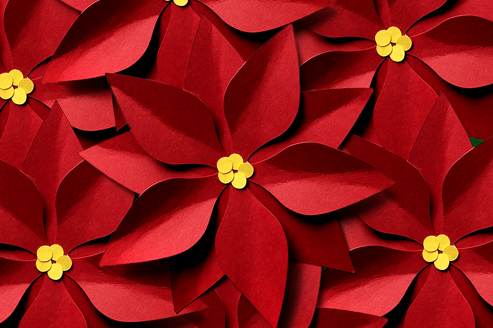 Christmas Poinsettia SVG File Cutting Template (79857) | Cut Files