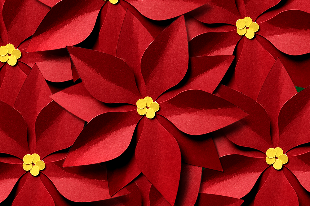 Download Christmas Poinsettia SVG File Cutting Template (79857 ...