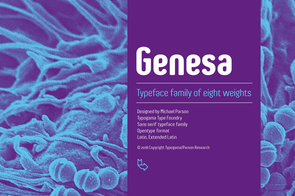 Genesa example image 1