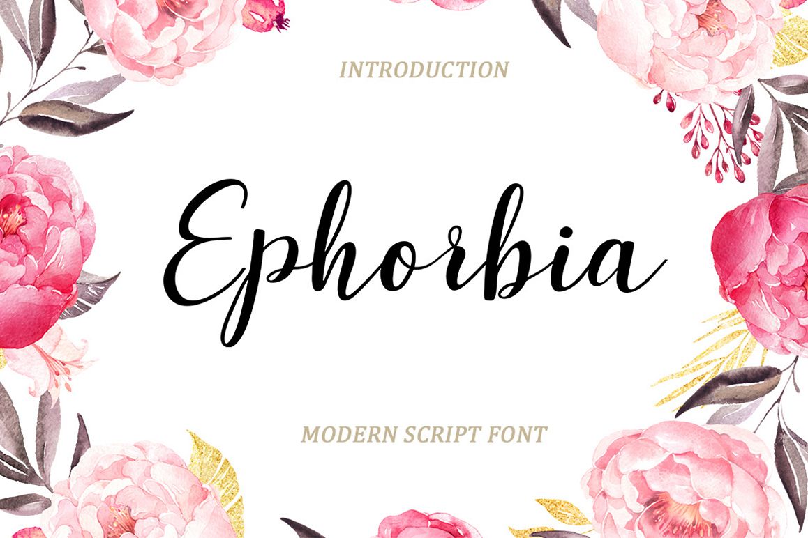 Ephorbia example image 1