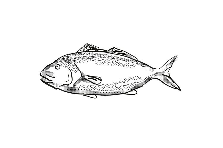 Blue Moki New Zealand Fish Cartoon Retro Drawing example image 1
