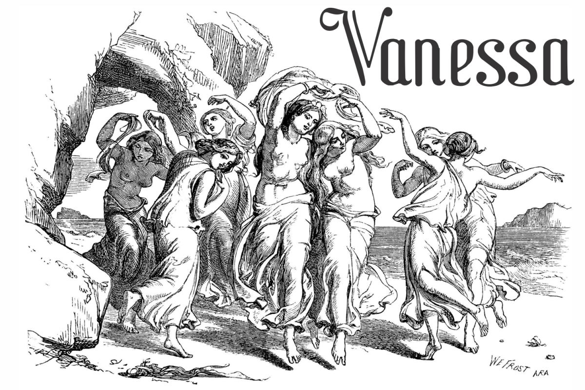 Vanessa example image 1