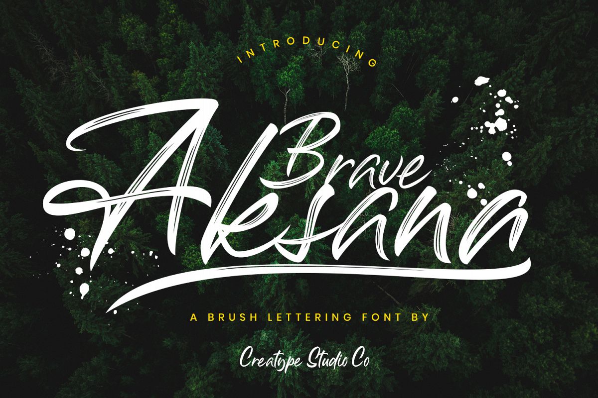 Aksana Brush Script example image 1