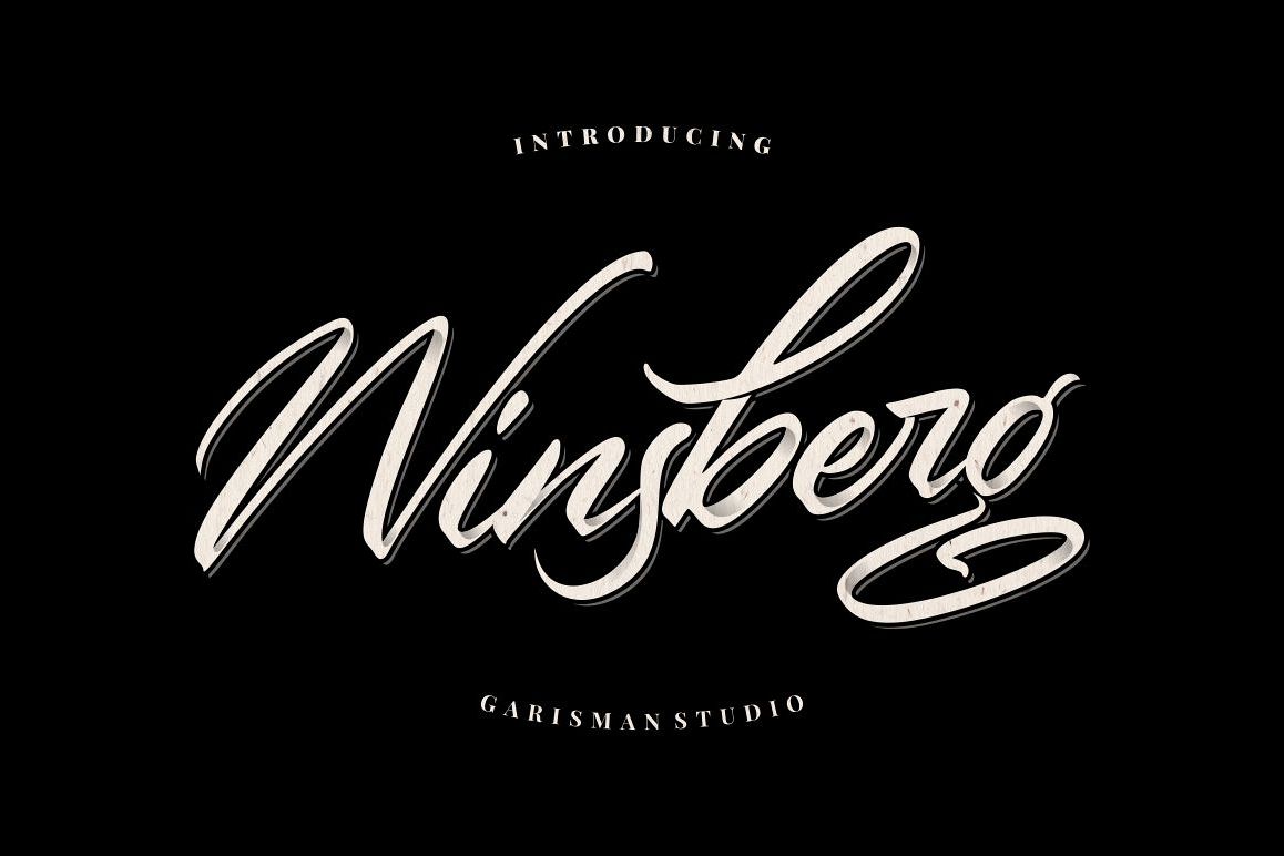 Winsberg example image 1