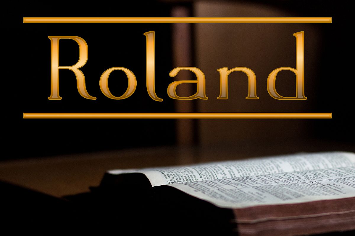 Roland example image 1
