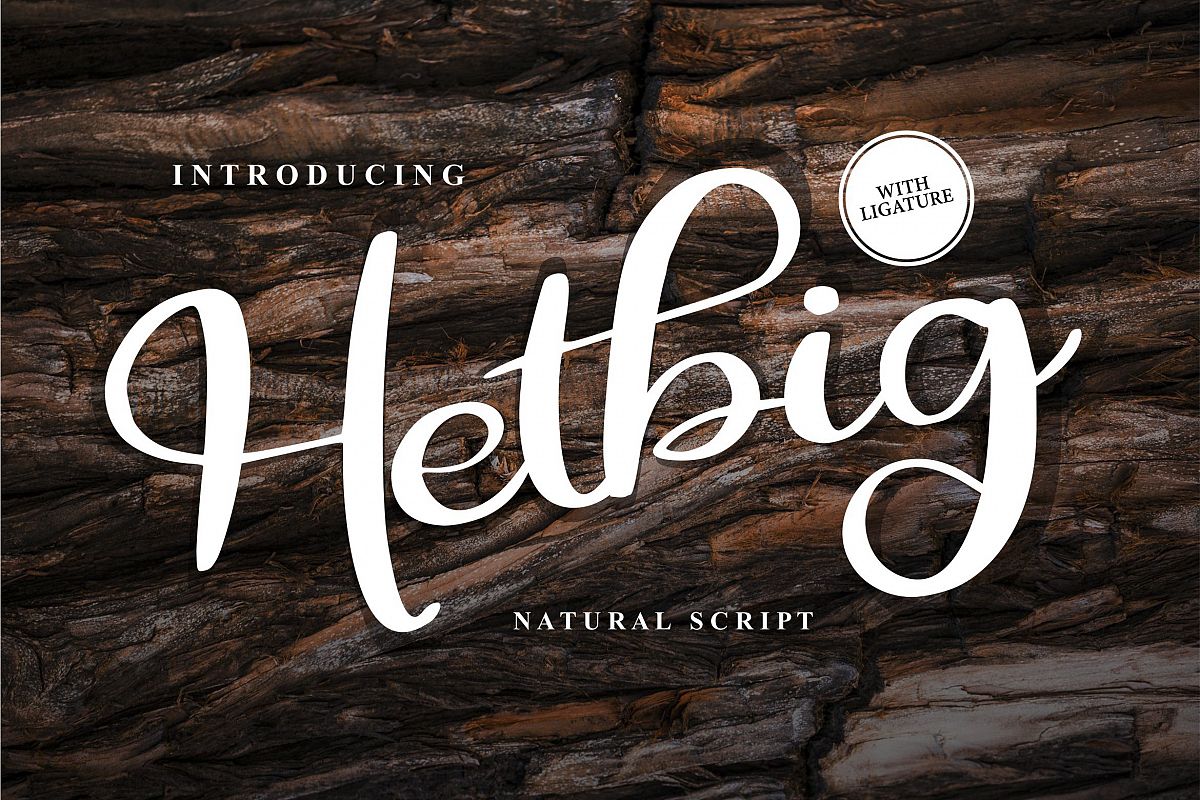 Hetbig | Natural Script Font example image 1