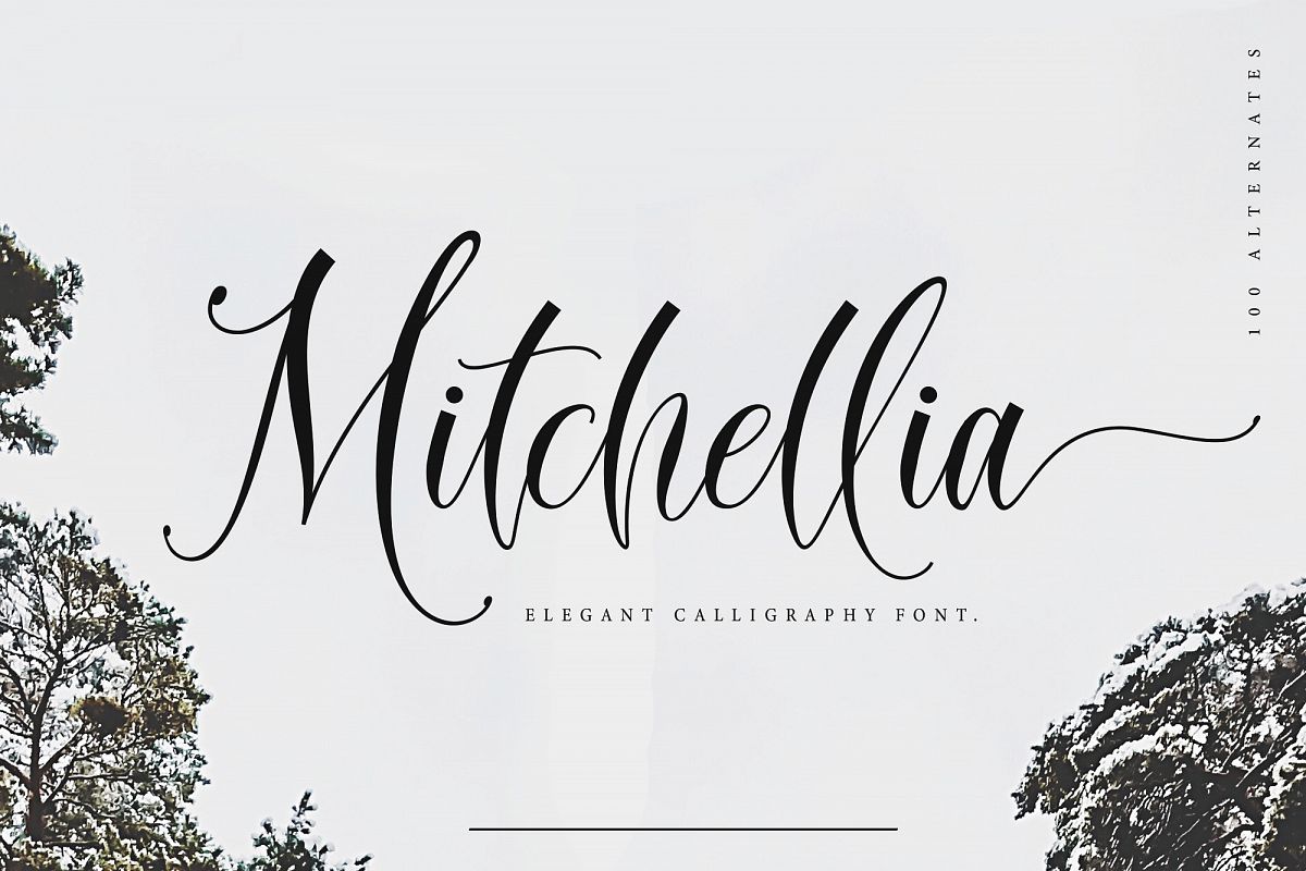 Mitchellia Script - Elegant Script example image 1