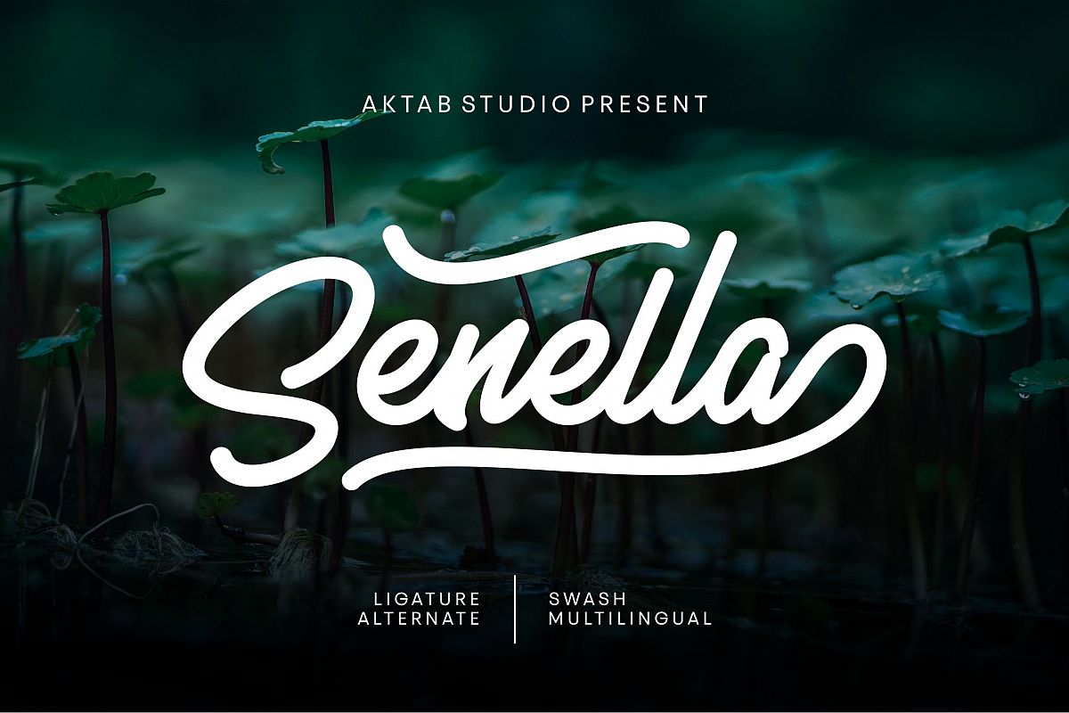 Senella Script Font example image 1