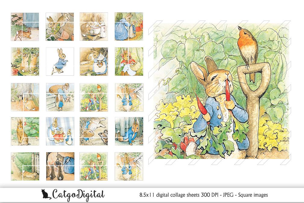 Beatrix Potter Peter Rabbit Square Digital printable images