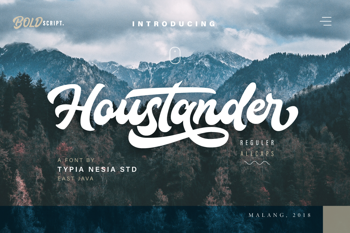Houstander font duo example image 1