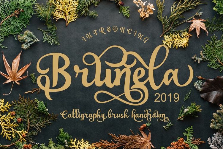 Brunela Beautyful Calligraphy brush scripts font example image 1