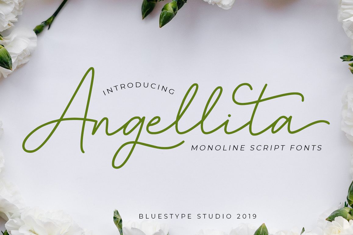 Angellita - Monoline Script Fonts example image 1