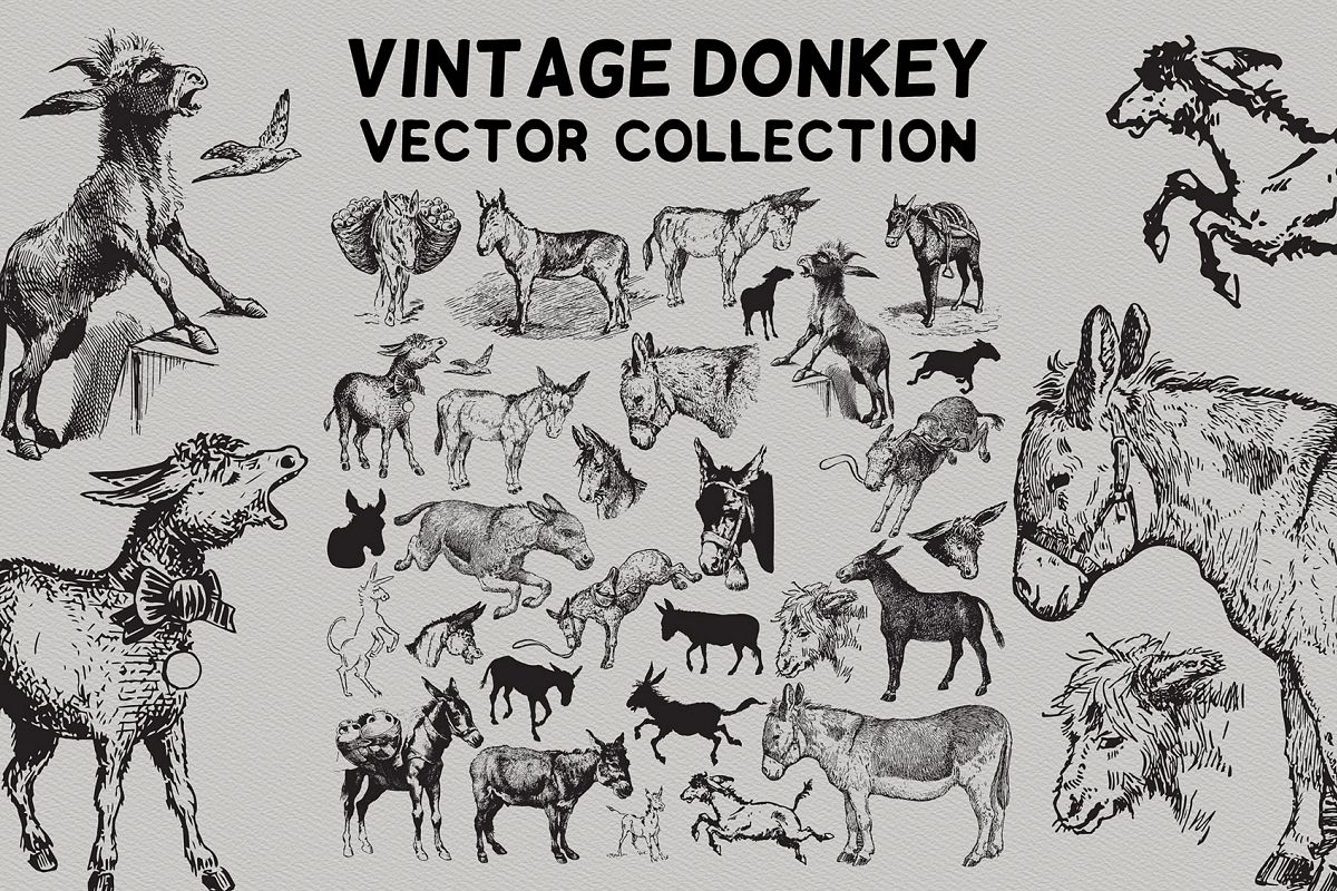 Vintage Donkeys Vector Collection example image 1