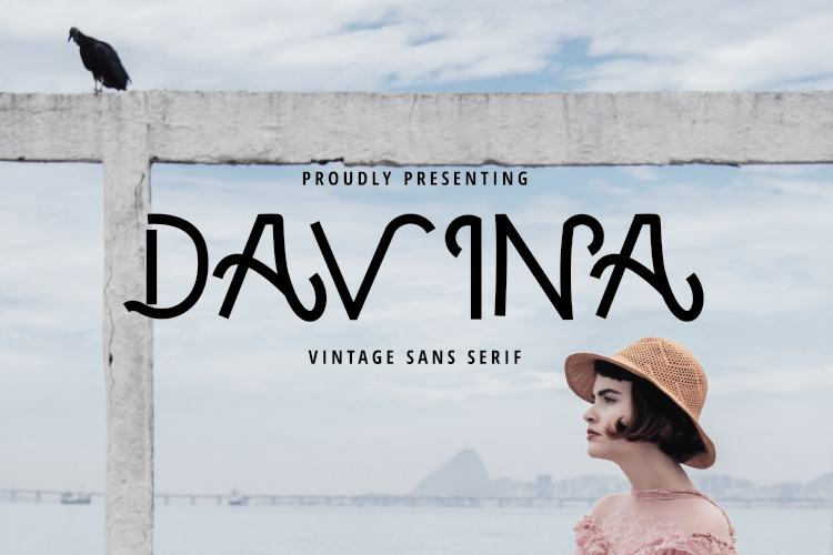 DAVINA example image 1