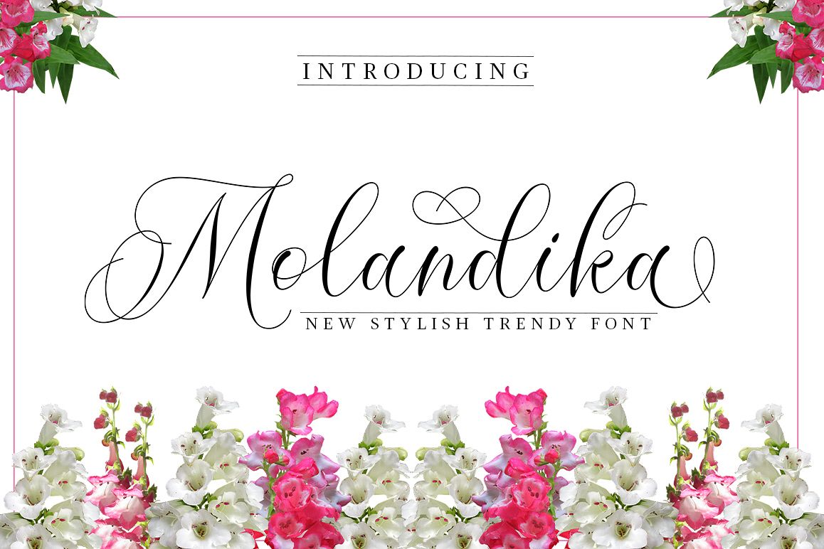 Molandika Script - Elegant Font example image 1