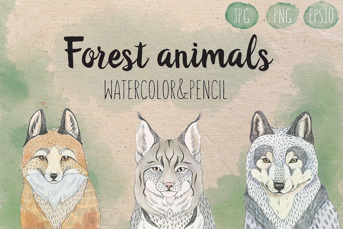 Woodland animals 1 example image 1