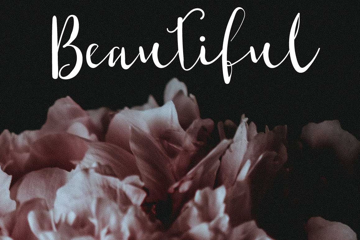 Shaktira Script Font example image 1