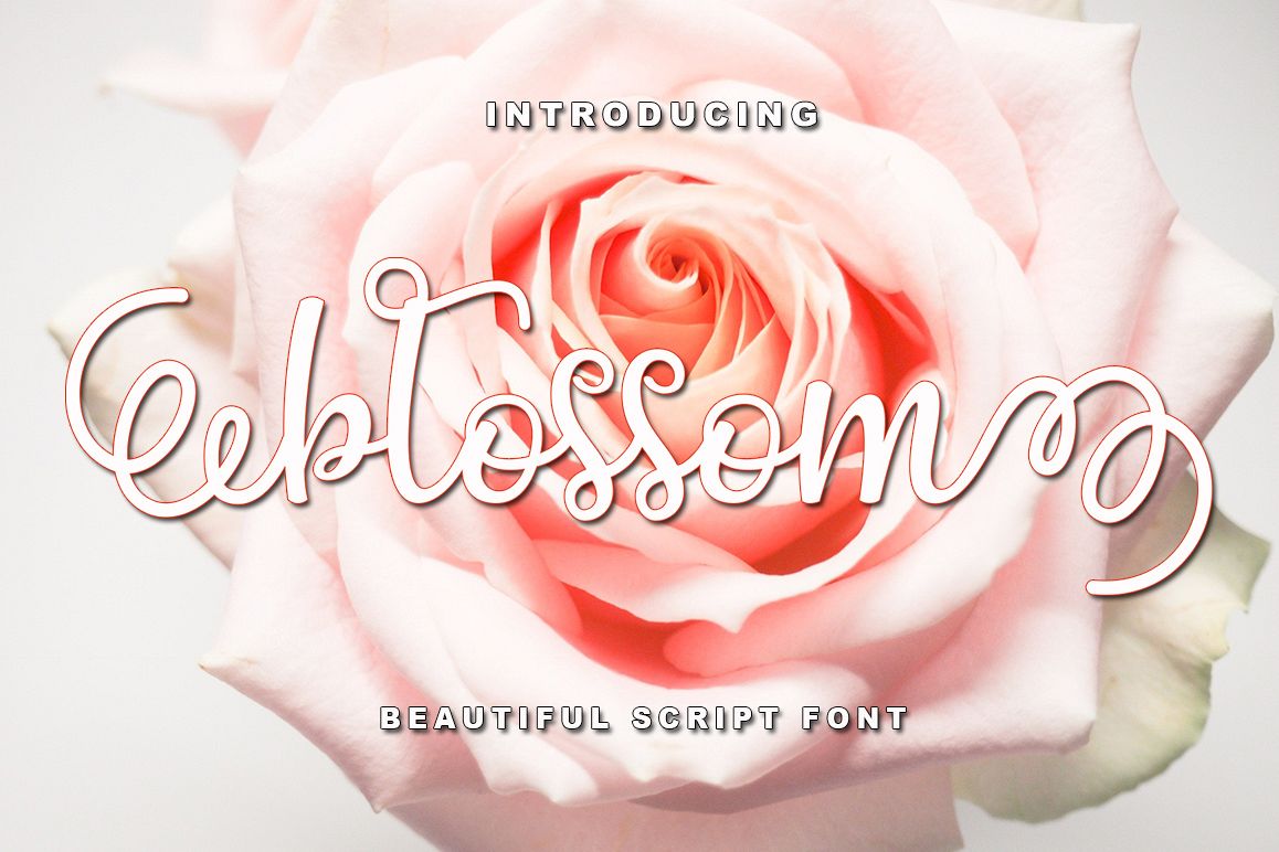 Blossom Script example image 1