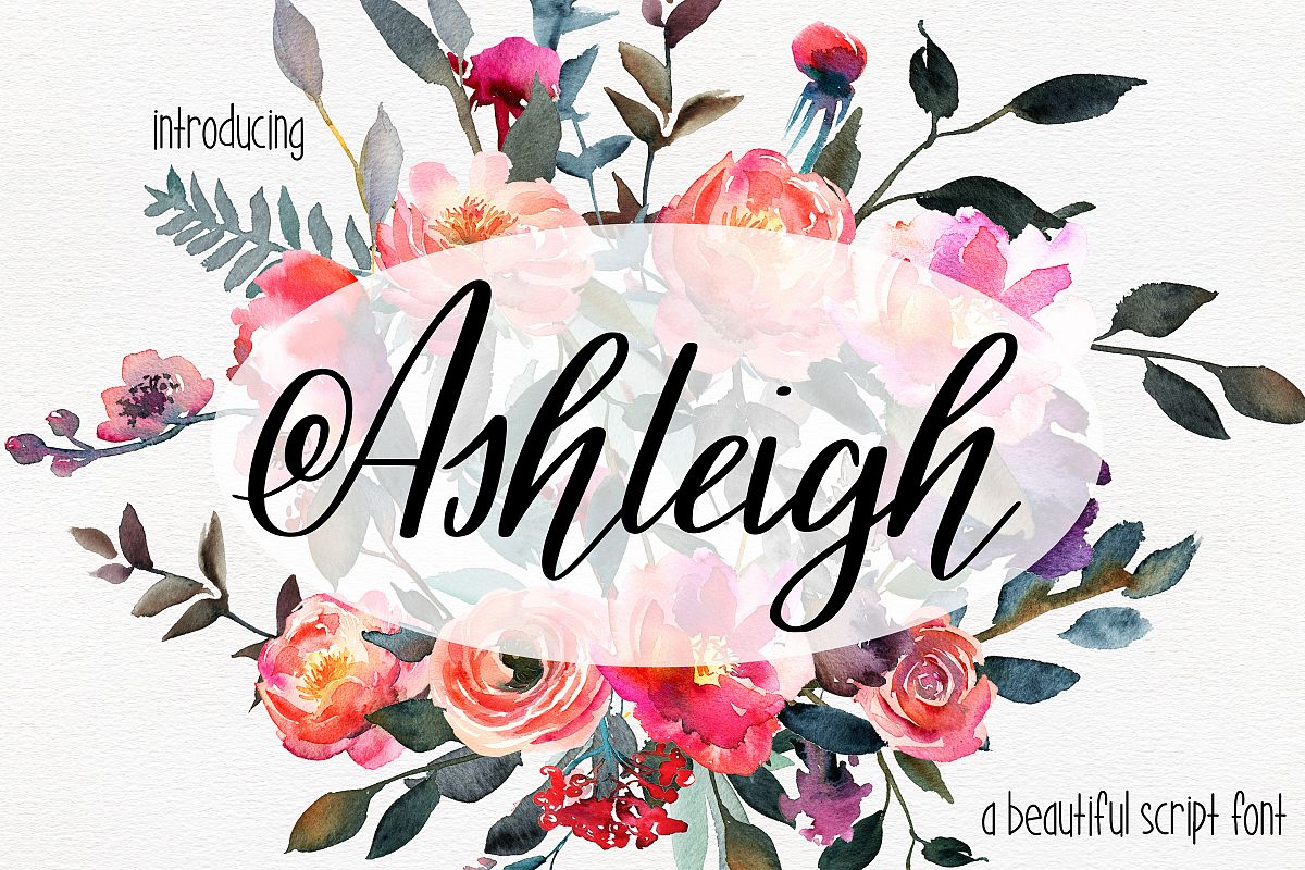 Ashleigh Script example image 1