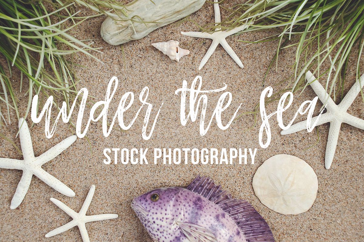 Under the Sea Stock Photography example image 1