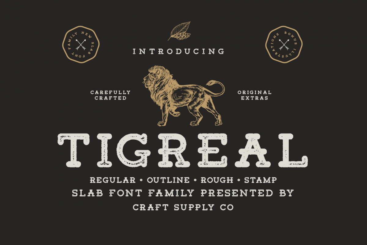 Tigreal Font Family BONUS Illustrations example image 1