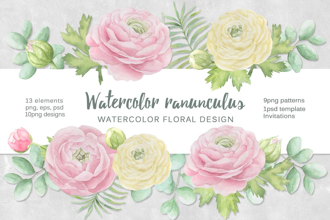 Watercolor ranunculus example image 1