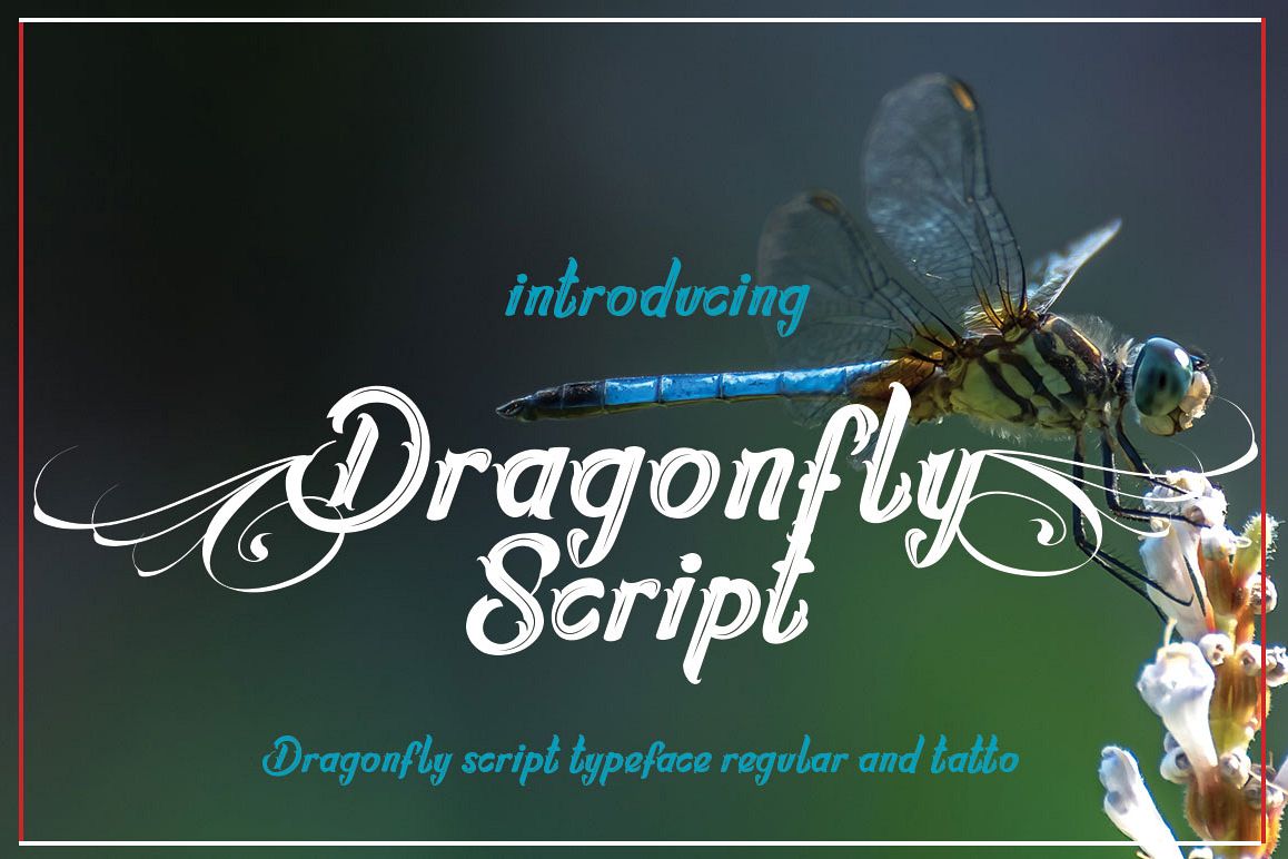 Dragonflayscript example image 1
