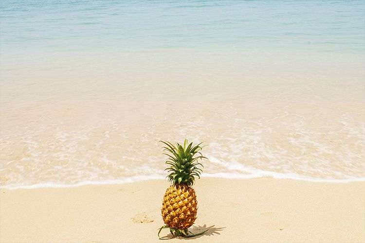 Pineapple of the sea example image 1