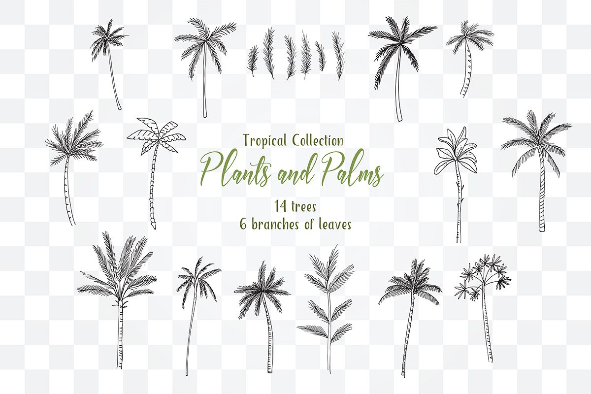 Tropical Exotic collection Tropical collection Summer Plants and PalmsPlants and Palms,tropical invitations, tropical tree example image 1