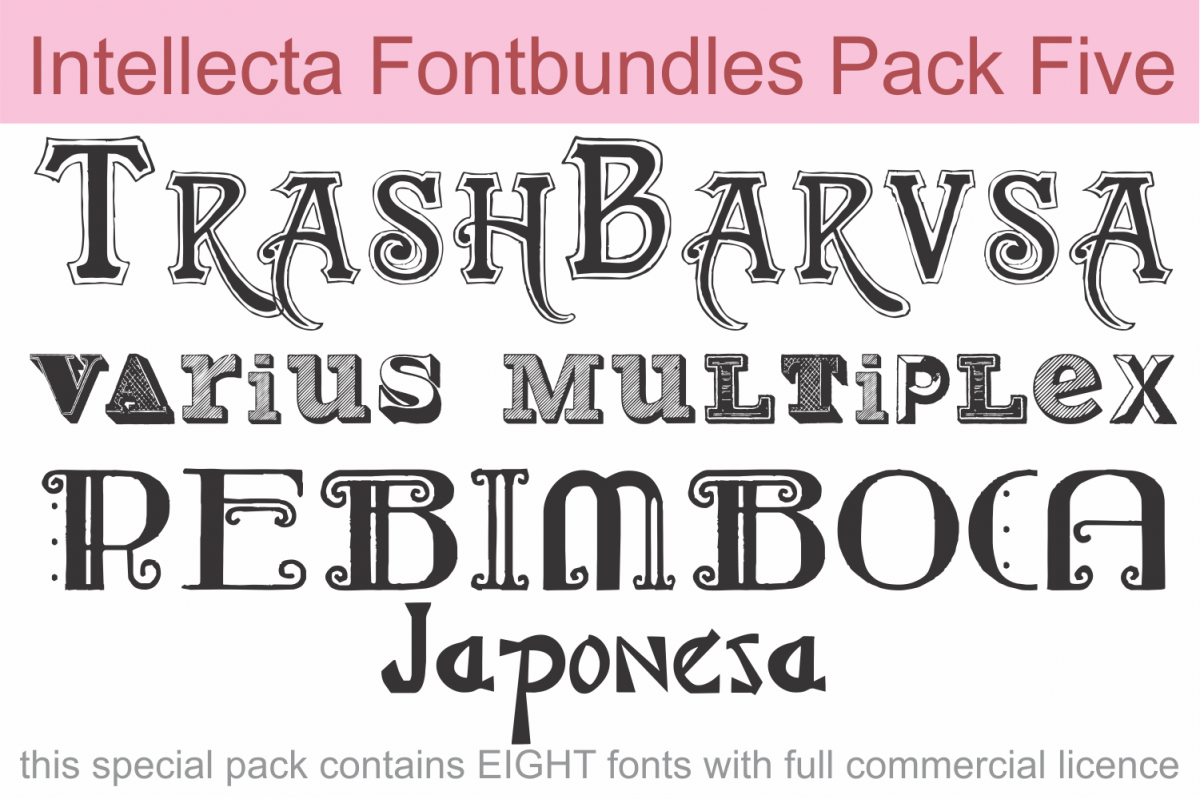 Intellecta Fontbundles Pack Five example image 1